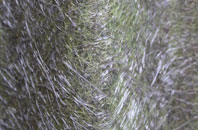 Bodymoor Heath fibreglass roof work